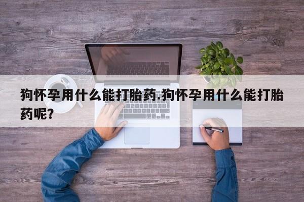意外怀孕怎么办?打胎药购买微信狗怀孕用什么能打胎药.狗怀孕用什么能打胎药呢？