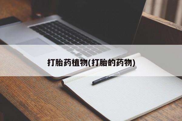 意外怀孕怎么办?打胎药购买微信要闻 第13页
