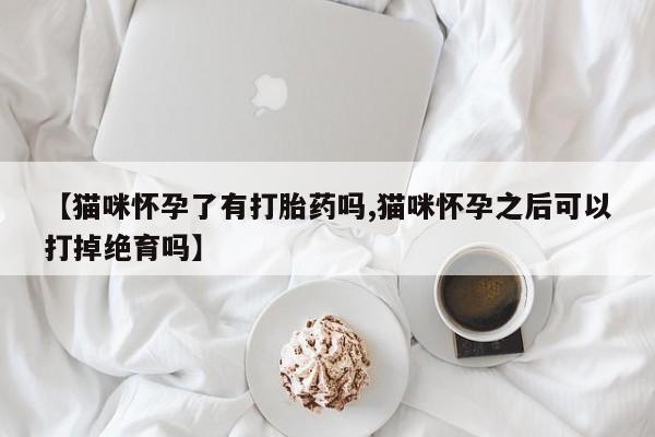 意外怀孕怎么办?打胎药购买微信【猫咪怀孕了有打胎药吗,猫咪怀孕之后可以打掉绝育吗】