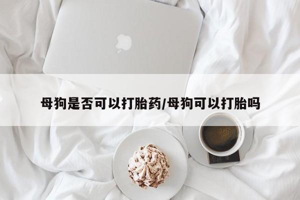 意外怀孕怎么办?打胎药购买微信母狗是否可以打胎药/母狗可以打胎吗